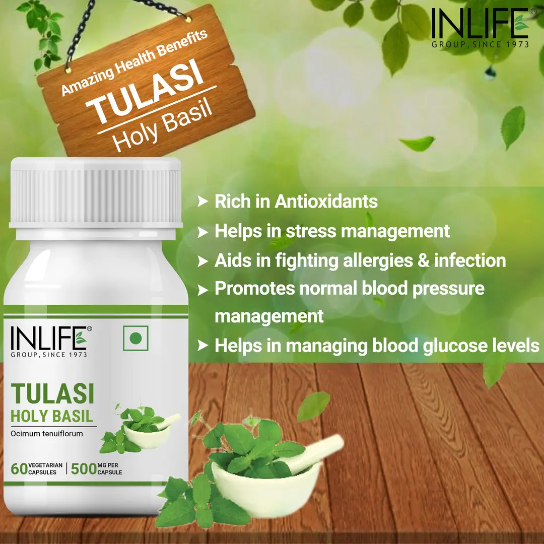 Buy INLIFE Tulsi Tulasi Extract Holy Basil Supplement Natural