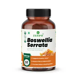 Zespo Boswellia Serrata with Turmeric and Burdock Root for Joint Support and Pain Relief icon