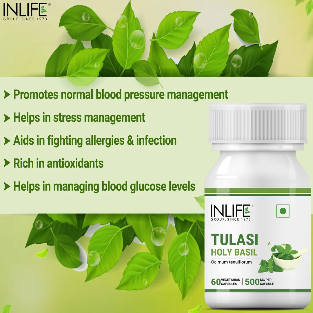 Buy INLIFE Tulsi Tulasi Extract Holy Basil Supplement Natural