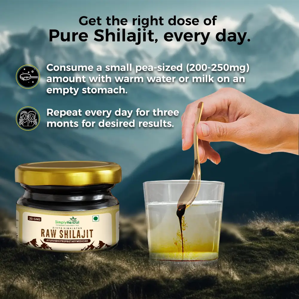 Simply Herbal Natural Divya Himalayan Shilajit Shilajeet Resin for Improve Strength Stamina Performance Booster 20 gm