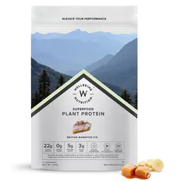 Wellbeing Nutrition Organic Vegan Plant Protein Isolate Powder with 22g Protein, 5g BCAA European Pea & Brown Rice Protein for Muscle Growth and Recovery icon