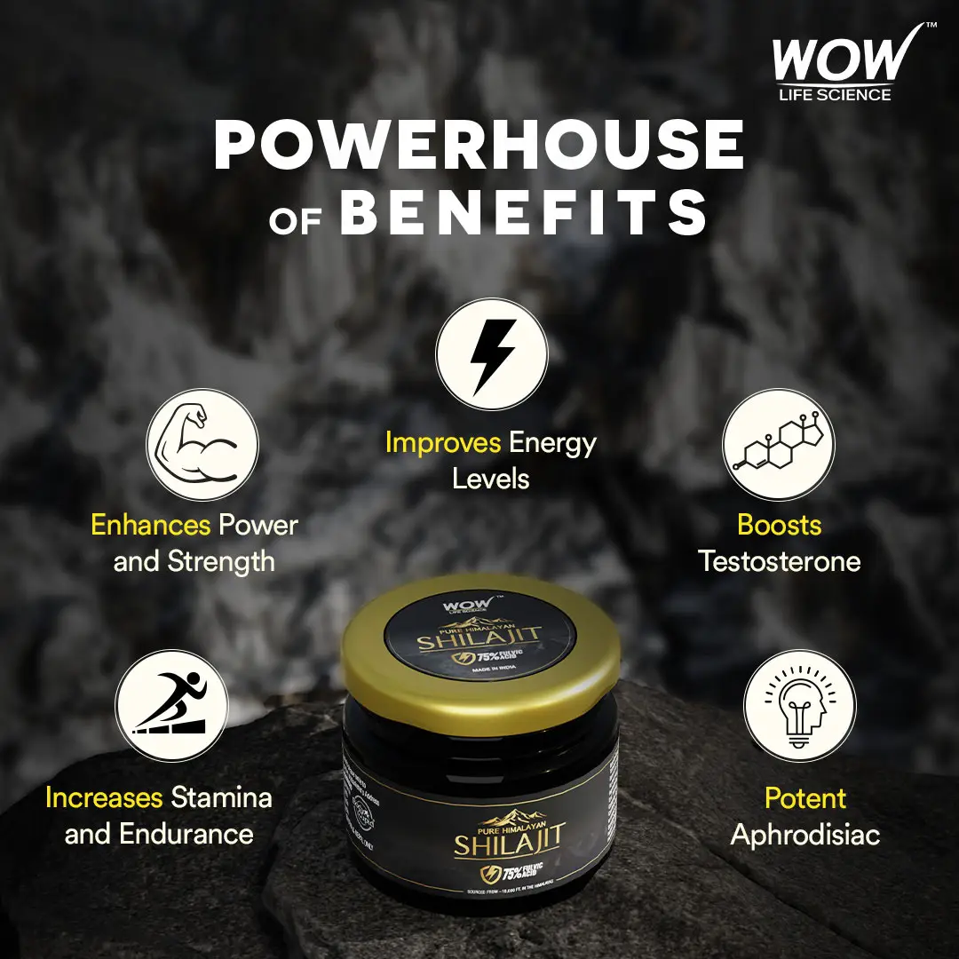 Buy WOW Life Science Pure Himalayan Shilajit Shilajeet Resin