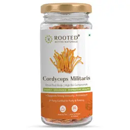 Rooted Active Naturals Cordyceps Militaris Mushroom Extract (Dry Body) for Energy, Testosterone and Lung Health icon
