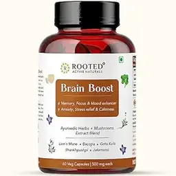 Rooted Active Naturals Brain Boost supplement  with Lions Mane Mushroom Extract for Focus, Memory, Brain Wellness icon