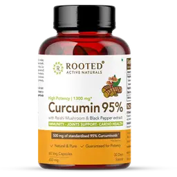 Rooted Active Naturals Curcumin (95%) with Reishi Mushroom Extract for Immunity, Joints and Cardio Health icon